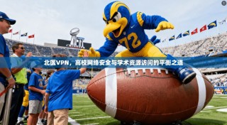 北医VPN，高校网络安全与学术资源访问的平衡之道