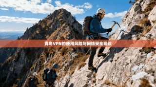 青鸟VPN的使用风险与网络安全建议