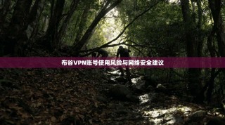 布谷VPN账号使用风险与网络安全建议