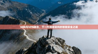 SDN与VPN融合，下一代网络架构的智能安全之道