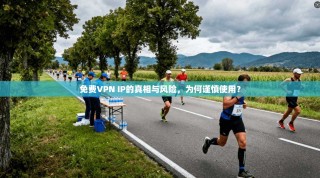 免费VPN IP的真相与风险，为何谨慎使用？