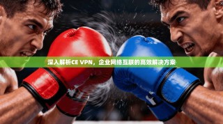 深入解析CE VPN，企业网络互联的高效解决方案