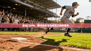 目田门VPN，网络安全与合规性之间的博弈