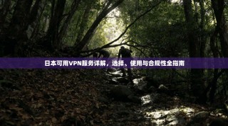 日本可用VPN服务详解，选择、使用与合规性全指南