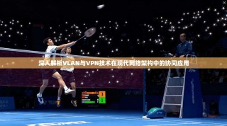 深入解析VLAN与VPN技术在现代网络架构中的协同应用