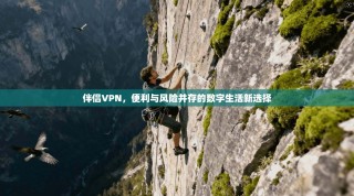 伴侣VPN，便利与风险并存的数字生活新选择