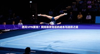 西风VPN要钱？网络服务背后的成本与选择之道