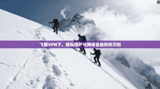 飞猫VPN下，隐私保护与网络自由的双刃剑