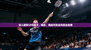 深入解析VPN本子，概念、用途与安全风险全指南
