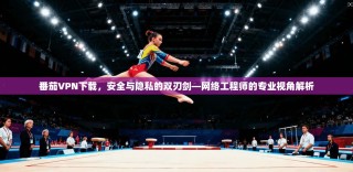 番茄VPN下载，安全与隐私的双刃剑—网络工程师的专业视角解析