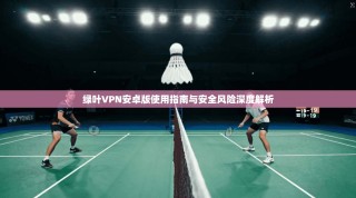 绿叶VPN安卓版使用指南与安全风险深度解析