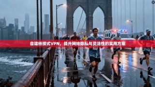 自建桥接式VPN，提升网络隐私与灵活性的实用方案