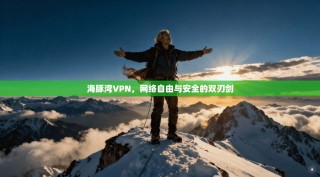 海豚湾VPN，网络自由与安全的双刃剑