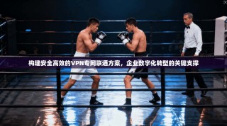 构建安全高效的VPN专网联通方案，企业数字化转型的关键支撑