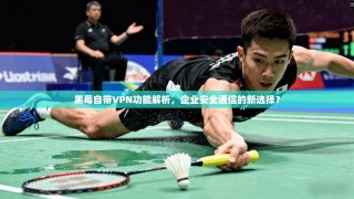 黑莓自带VPN功能解析，企业安全通信的新选择？