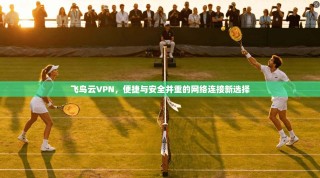 飞鸟云VPN，便捷与安全并重的网络连接新选择