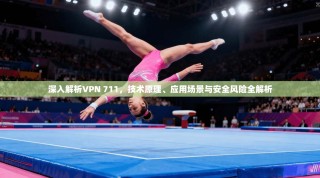 深入解析VPN 711，技术原理、应用场景与安全风险全解析