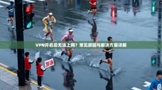 VPN开启后无法上网？常见原因与解决方案详解