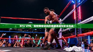 NTU VPN，高校网络访问的便捷通道与安全挑战