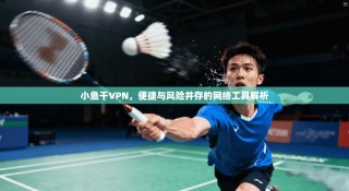 小鱼干VPN，便捷与风险并存的网络工具解析
