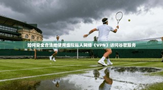如何安全合法地使用虚拟私人网络（VPN）访问谷歌服务