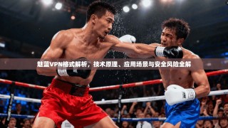 魅蓝VPN格式解析，技术原理、应用场景与安全风险全解