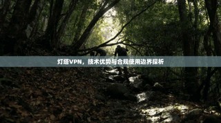 灯塔VPN，技术优势与合规使用边界探析
