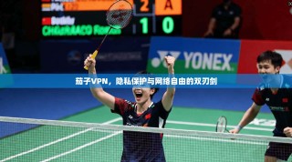 茄子VPN，隐私保护与网络自由的双刃剑