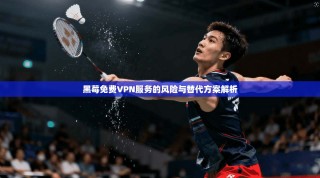 黑莓免费VPN服务的风险与替代方案解析