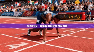 纯净VPN，网络自由与安全的双刃剑
