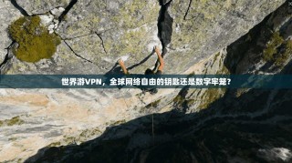 世界游VPN，全球网络自由的钥匙还是数字牢笼？
