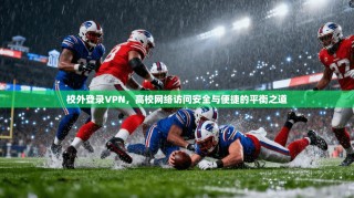 校外登录VPN，高校网络访问安全与便捷的平衡之道