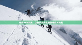 唐狮VPN系统，企业网络安全的新选择与挑战