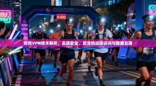 双向VPN技术解析，实现安全、灵活的远程访问与数据互通
