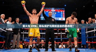 萤火虫 VPN，隐私保护与网络自由的新选择？