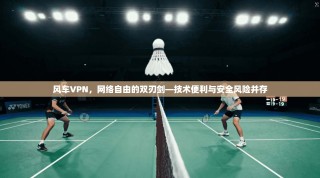 风车VPN，网络自由的双刃剑—技术便利与安全风险并存
