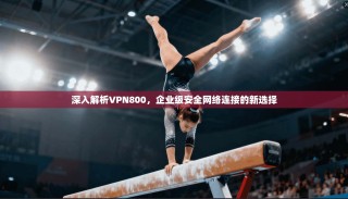 深入解析VPN800，企业级安全网络连接的新选择