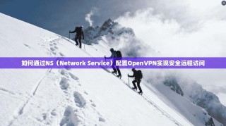 如何通过NS（Network Service）配置OpenVPN实现安全远程访问