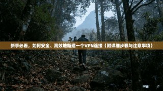 新手必看，如何安全、高效地新建一个VPN连接（附详细步骤与注意事项）