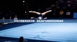 VPN订阅服务的利与弊，隐私保护与网络安全的新选择