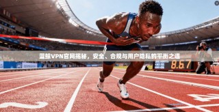 蓝鲸VPN官网揭秘，安全、合规与用户隐私的平衡之道