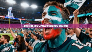 如何正确设立VPN以保障网络安全与隐私