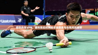 猎豹共享VPN，便利背后的网络安全隐患与合规风险解析