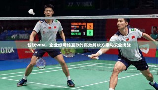 智联VPN，企业级网络互联的高效解决方案与安全挑战