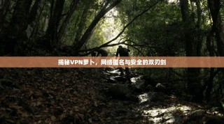 揭秘VPN萝卜，网络匿名与安全的双刃剑