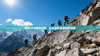 网神VPN型号详解，企业级安全连接的利器