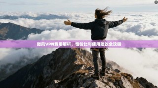 微风VPN费用解析，性价比与使用建议全攻略