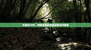 天路云VPN，构建安全高效的远程访问通道