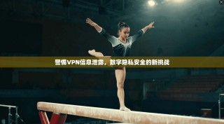 警惕VPN信息泄露，数字隐私安全的新挑战