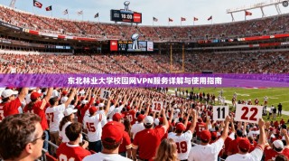 东北林业大学校园网VPN服务详解与使用指南
